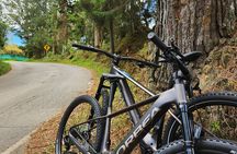 Medellín E-Bike Escape Coffee and Craft Beer