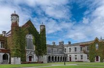 Galway Private Walking Tour with a Local