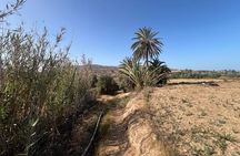 Essaouira Off-Beaten-Path: Full-Day Local Life &Nature Experience