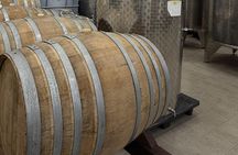 Catania: Wine Tour