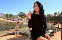 Valle de Guadalupe Adults Only Tour