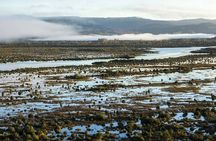 Custom Tour of the Lakes Region in Chile