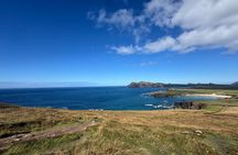 Private Luxury Tour Dingle Peninsula & Slea Head, 7 Guests Max