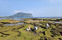 Jeju Shore Excursion for Cruise Passengers: UNESCO & Highlights