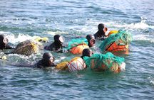 Jeju Shore Excursion for Cruise Passengers: UNESCO & Highlights