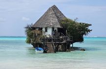 Private Full Day Jozani Forest Kuza cave Paje Beach The Rock 