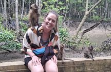 Speedboat Adventure: Can Gio Mangrove, Monkey Island & Crocodiles