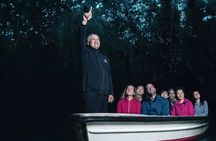 FULL DAY ROTORUA TOUR - Fully Customisable 13 hours Unlimited KMS