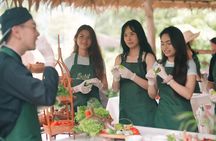 Bukit Thai Cooking Class and Elephant Encounter in Phuket