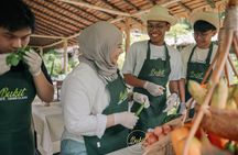 Bukit Thai Cooking Class and Elephant Encounter in Phuket
