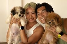 Puppy Yoga in Bali Uluwatu №1 Thing to Do in Bali