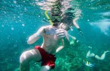 Phuket Sunset Paradise Trip to Phi Phi with Seahorse Marine