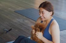 Puppy Yoga in Bali Ubud №1 Thing to Do in Bali