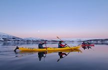 Tromsø: Easy Winter Kayaking Tour with Seal Watching