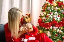 Christmas Photo Experience in Dublin
