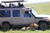  Explore Tanzania on a 5-Day Private Adventure