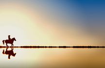 Desert Horse Riding Tour With Transfers From Doha