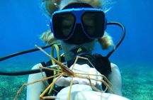 Cozumel Discover Scuba dive