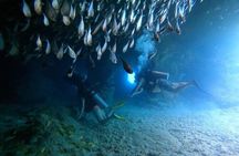 Beginner Scuba Diving Adventure at Chankanaab