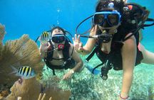 Beginner Scuba Diving Adventure at Chankanaab
