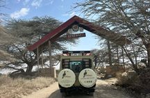 Tanzania Safari: 7 Day Mid Range Adventure