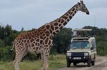 Nairobi park 4x4 Landcruiser, Elephant & Giraffe Centre