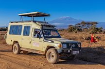 Private Amboseli day Tour in 4x4 Landcruiser