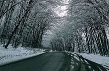 Khizi Candy Mountains and Shahdagh Full Day Guided Tour