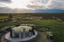 Tour privado free sale con 3 bodegas por la zona de Valle de Uco