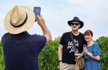 Essential Wine Tour with Tasting & Chateau Visits from Bordeaux