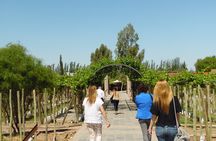 Private tour free sale with 3 cellegas POR la zona DE Mapiu