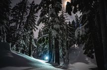Moonlight and Starlight Snowshoe Tour