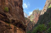 Private Narrows Slot Canyon Hike in Zion Canyon