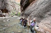 Private Narrows Slot Canyon Hike in Zion Canyon