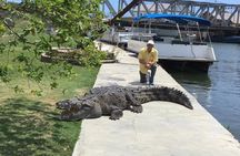 YS Falls and Black River Safari South Coast from Negril Jamaica