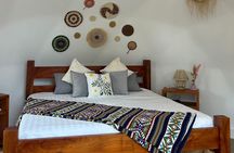 The Tortoise Dome Lodge – Giant Tortoises & Lava Tunnels