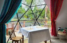 The Tortoise Dome Lodge – Giant Tortoises & Lava Tunnels