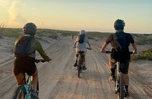 Scenic Bay Bike Ride Through Desert and Mangrove