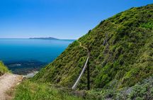 Kāpiti Coast: Escarpment Track Guided Hiking Tour, Coffee + Lunch