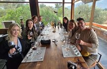 Casablanca Valley Wine tour + Valparaiso (small group tour)