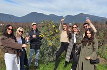 Casablanca Valley Wine tour + Valparaiso (small group tour)