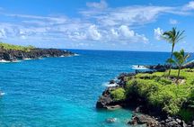 Rainforest Tour to Hana and Beyond