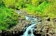 Rainforest Tour to Hana and Beyond