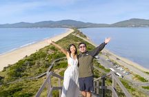 Bruny Island Food, Sightseeing, Guided Lighthouse Tour & Lunch 