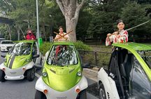 Official Tokyo Shibuya : KIMONO Dressed EV-Go Kart Activity Tour