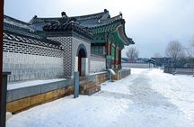 Suwon Fortress and Palace Tour with Optional Food Experience
