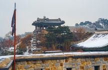 Suwon Fortress and Palace Tour with Optional Food Experience