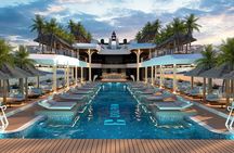 Dolphin Cruise – Experience Halong Bay in Timeless Luxury