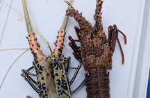 Private Nakupenda Beach Day with Seafood Lunch and Transfers