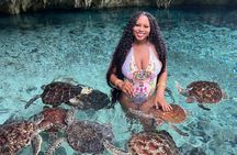 Explore Zanzibar with Jozani Red Colobus Monkey and Turtle Swim